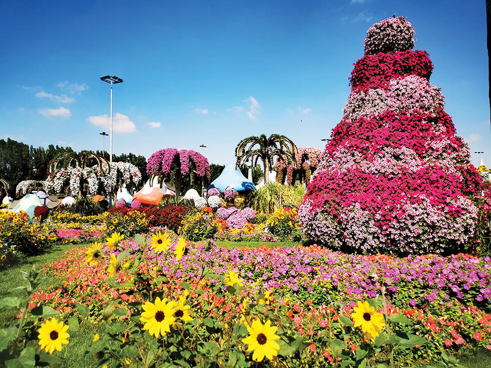 Raznovrstno cvetje v botaničnem vrtu Miracle Garden